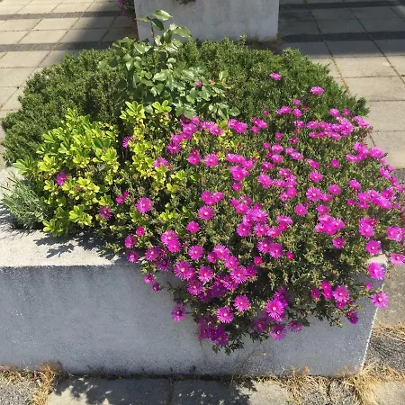 Apartman West Fiume